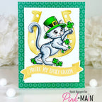 Pink and Main So Lucky Set 1 8.5 x 5.5 inch Paper Pack pmp191 gray cat