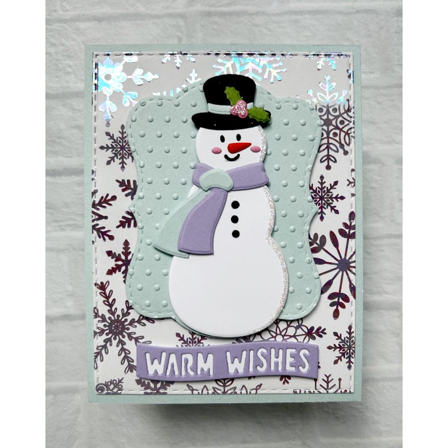Pink and Main Swiss Dot 6x6 Embossing Folder pmt102 snowman
