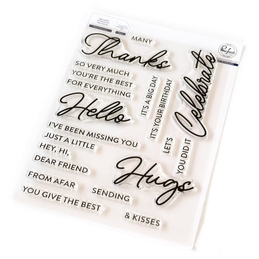 Pinkfresh Studio Basic Sentiments Clear Stamps 264124
