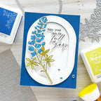 Pinkfresh Studio Bluebonnet Bliss Stamps Dies Stencils And Press Plates Bundle May Your Day Be Full Of Joy