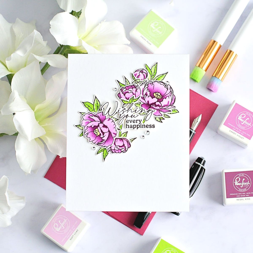 Pinkfresh Studio Blushing Blooms Stamps Dies Stencils And Press Plates Bundle Wishing You Every Happiness