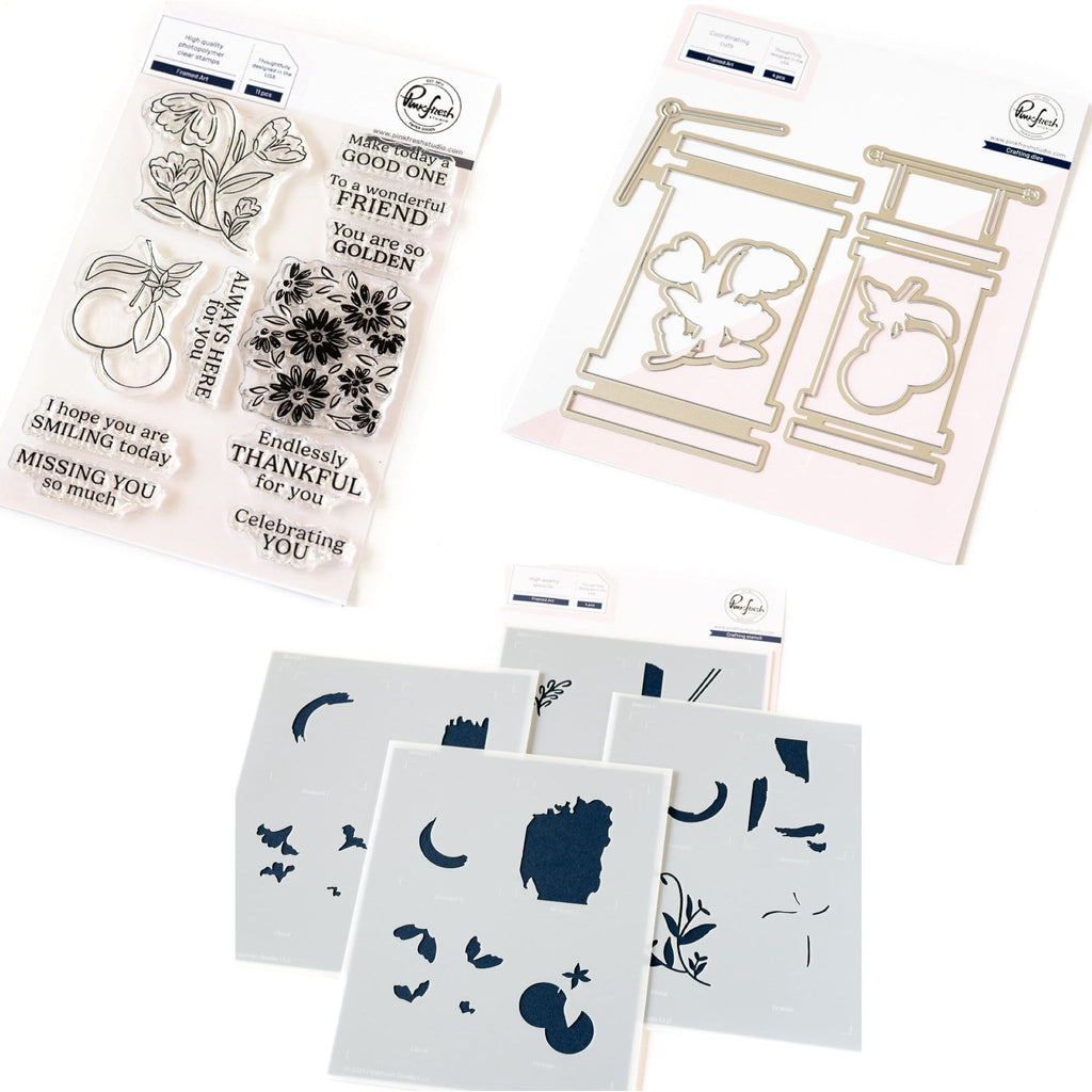 Pinkfresh Studio Framed Art Stamps Dies And Stencils Bundle