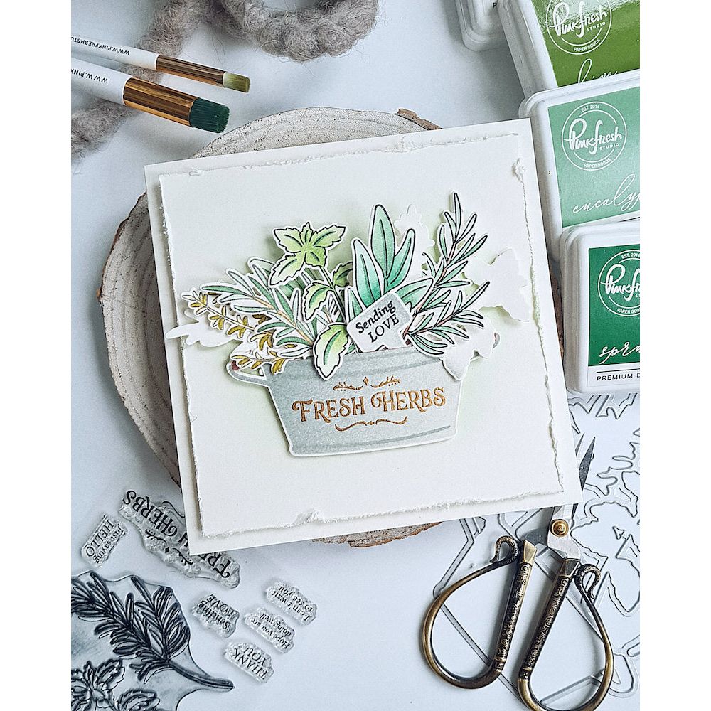 Pinkfresh Studio Herb Garden Stencils 263924 Gardening Card | color-code:ALT01