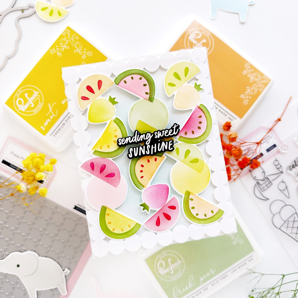 Pinkfresh Studio Sweet Safari Stencils 279725 Raquel Card