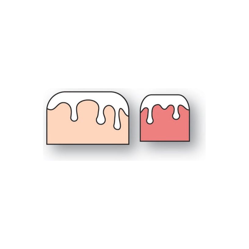 Poppy Stamps Frosted Cake Duo Dies 2673