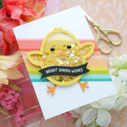 Pretty Pink Posh Chick Shaker Dies rainbow stripes | color-code:ALT02