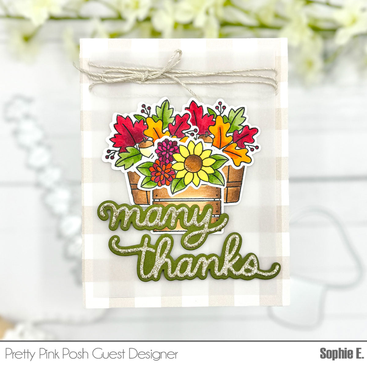 Pretty Pink Posh Fall Harvest Clear Stamp and Die Set many thanks