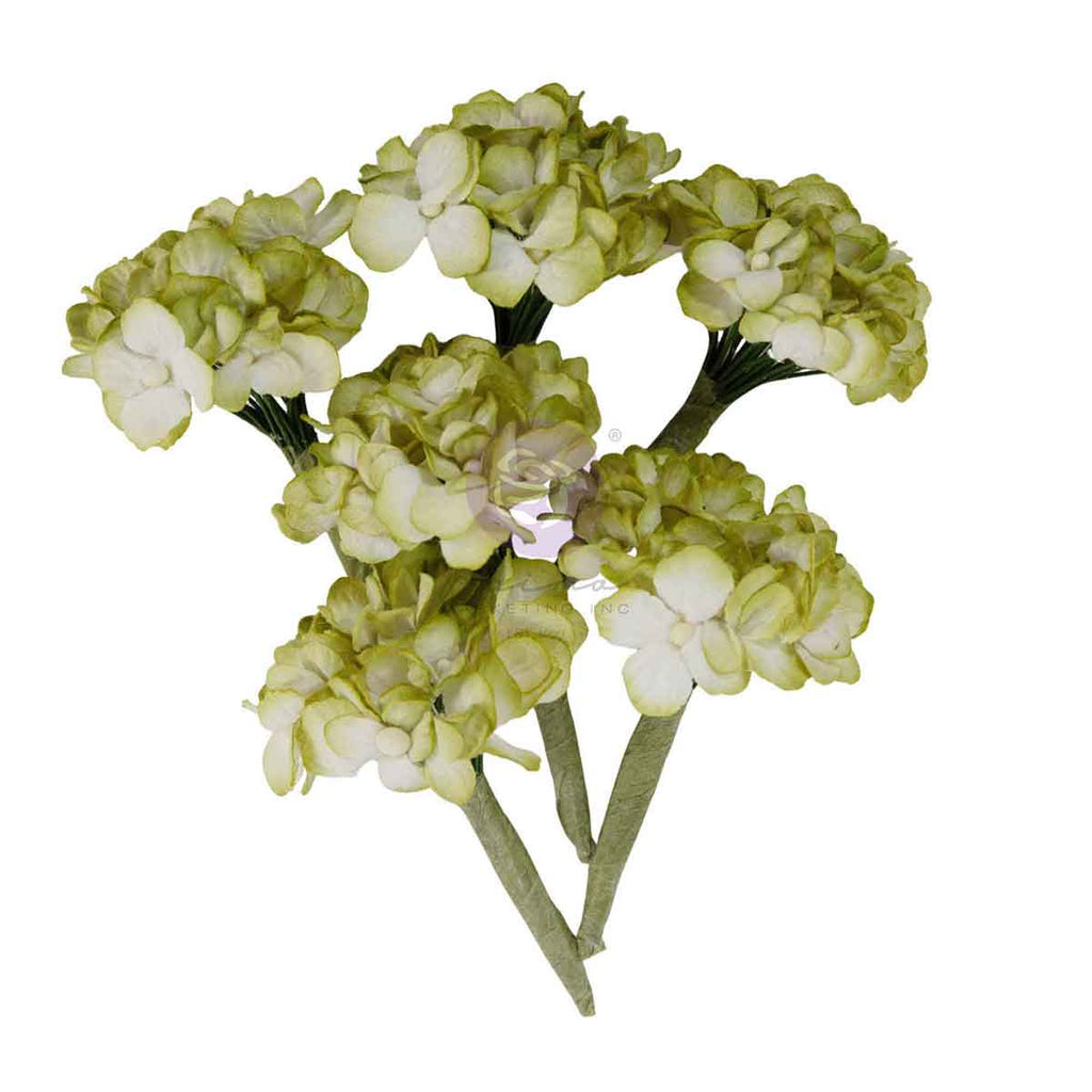 Prima Marketing Garden Hydrangea Mist Homegrown Flowers 683658 Detailed Floral Image