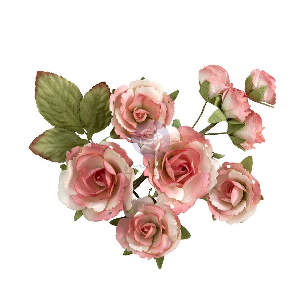 Prima Marketing Garden Rose Blush Homegrown Flowers 683672