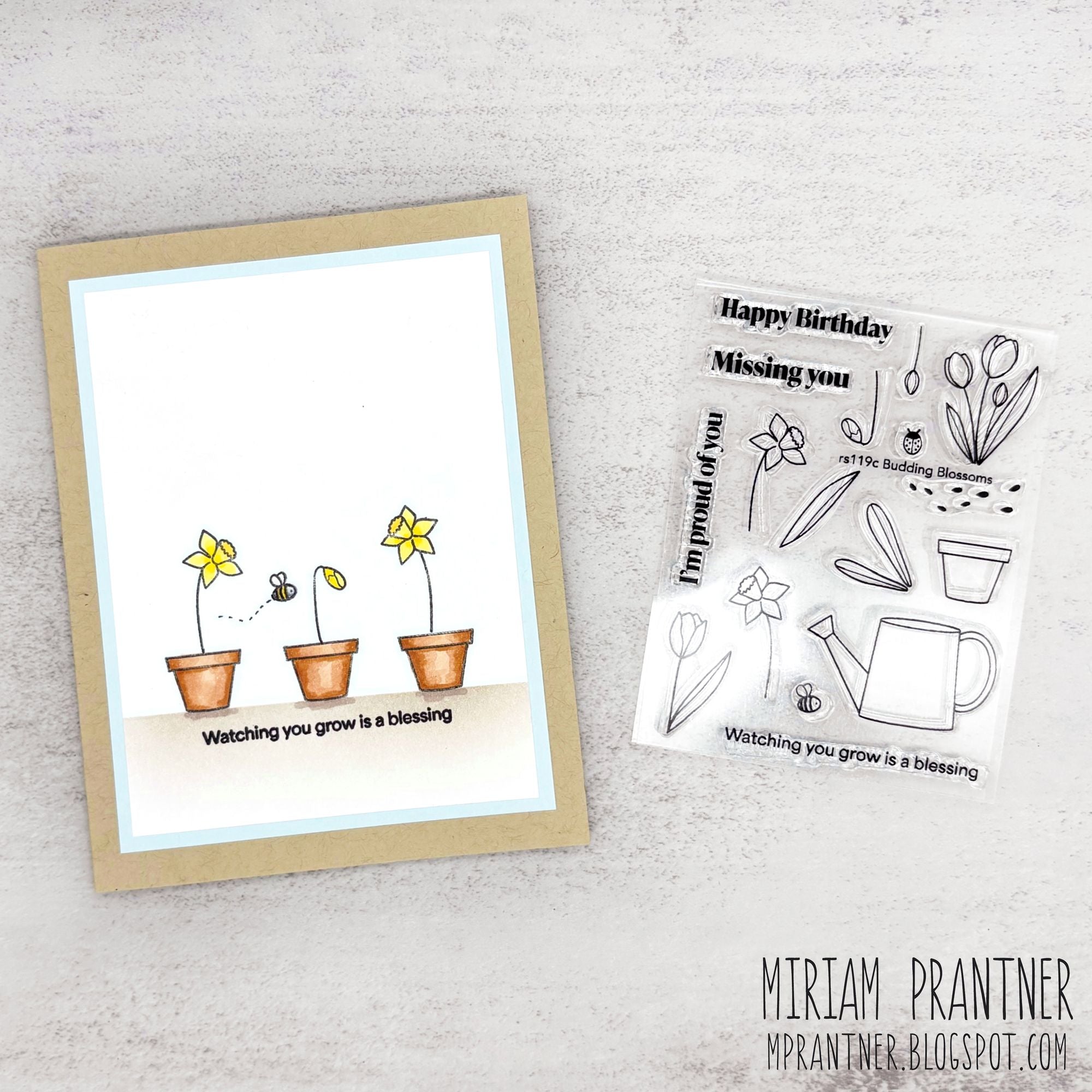 Rainbow Splash and Dies Budding Blossoms rs43set Beautiful Moments Encouragement Card | color-code:ALT04