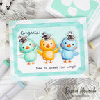 Rainbow Splash Clear Stamps Graduation Greetings rs122c Cute Birdies Grad Card Rachel Alvarado