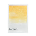 Ranger 49 and Market Daffodil Dye Ink Pad fmp92384 Swatches