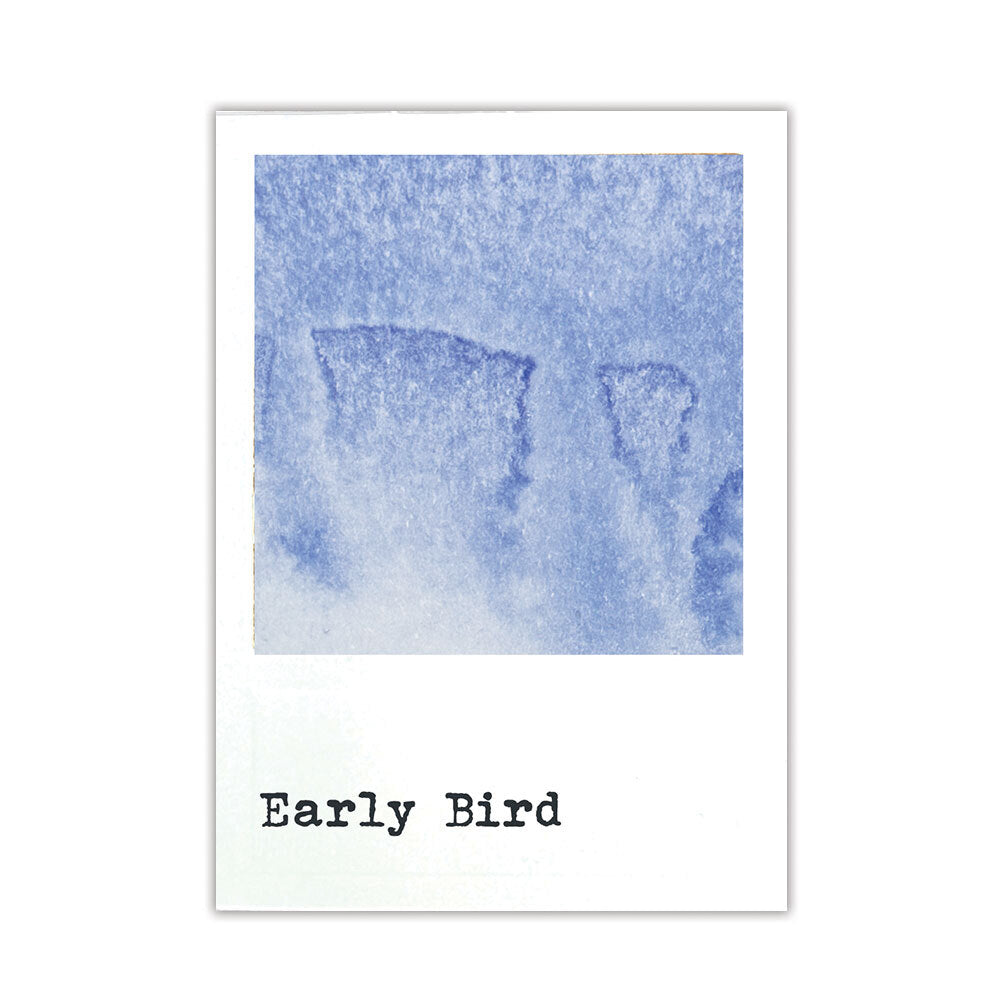 Ranger 49 and Market Early Bird Dye Reinker fmi93022 Secondary Image