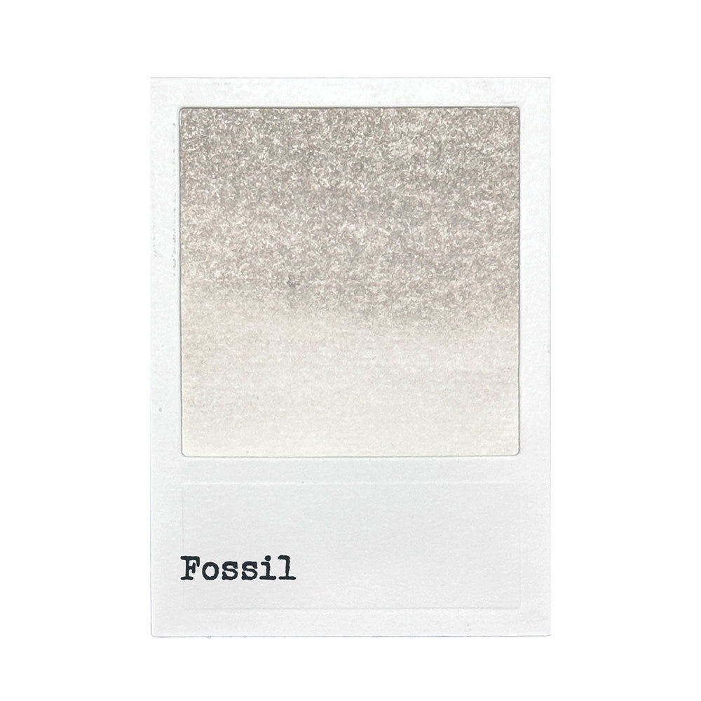 Ranger 49 and Market Fossil Dye Reinker fmi92544 Swatches