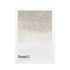 Ranger 49 and Market Fossil Dye Reinker fmi92544 Swatches