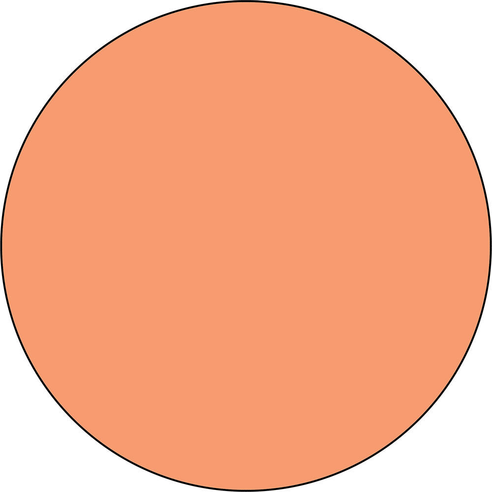 Ranger 49 and Market Just Peachy Dye Reinker fmi92568 Swatch