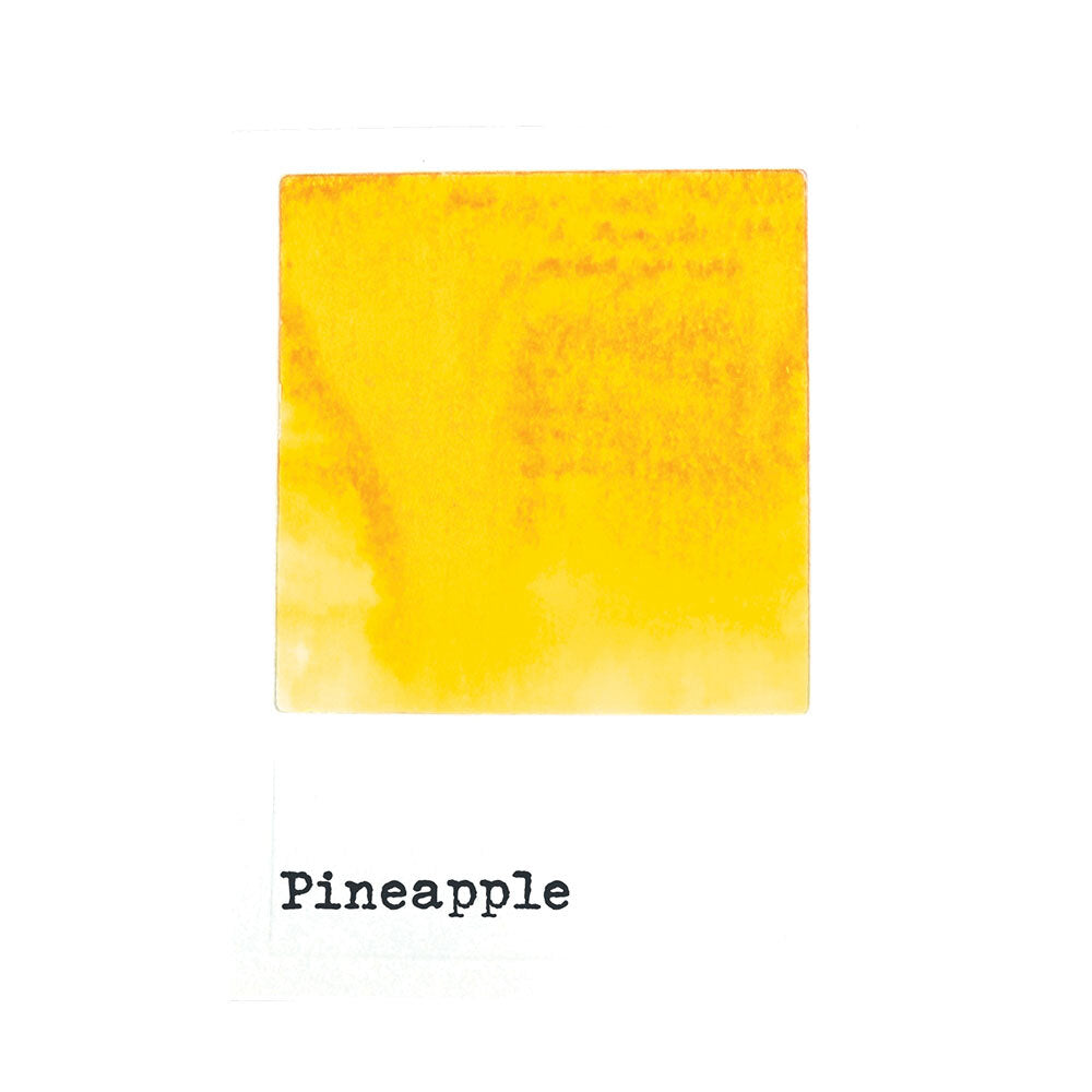 Ranger 49 and Market Pineapple Dye Reinker fmi93053 Secondary Image
