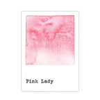 Ranger 49 and Market Pink Lady Dye Ink Pad And Reinker Bundle Swatch
