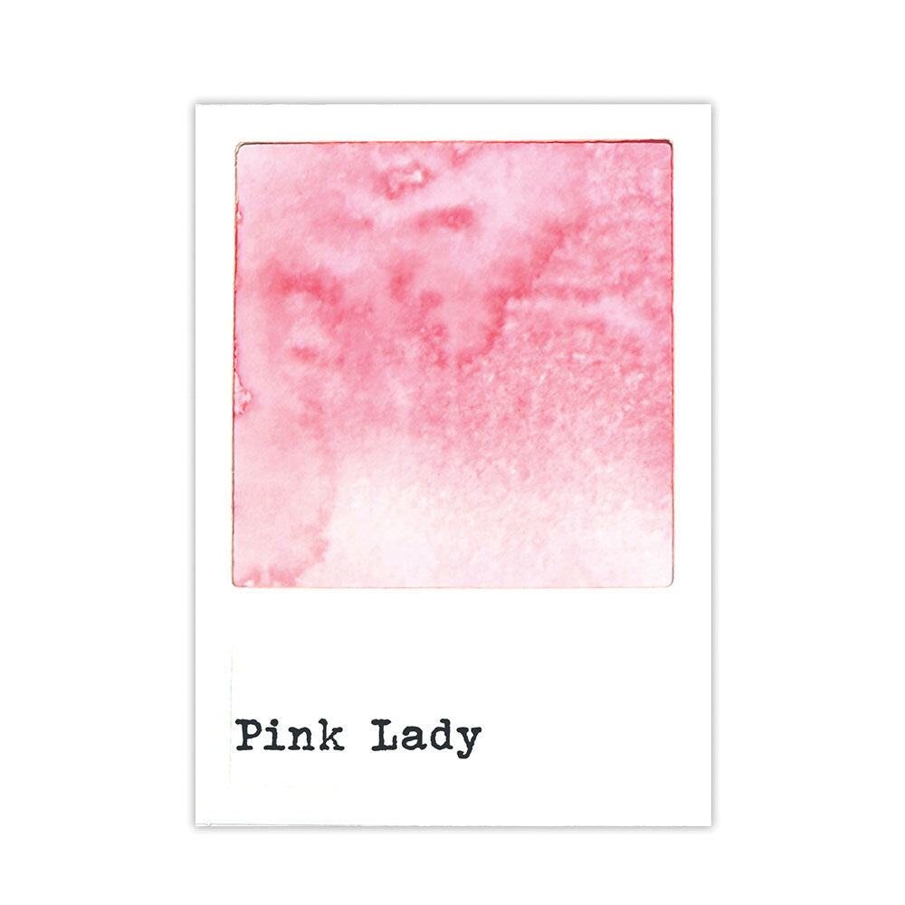 Ranger 49 and Market Pink Lady Dye Reinker fmi93060 Secondary Image