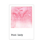 Ranger 49 and Market Pink Lady Dye Reinker fmi93060 Secondary Image