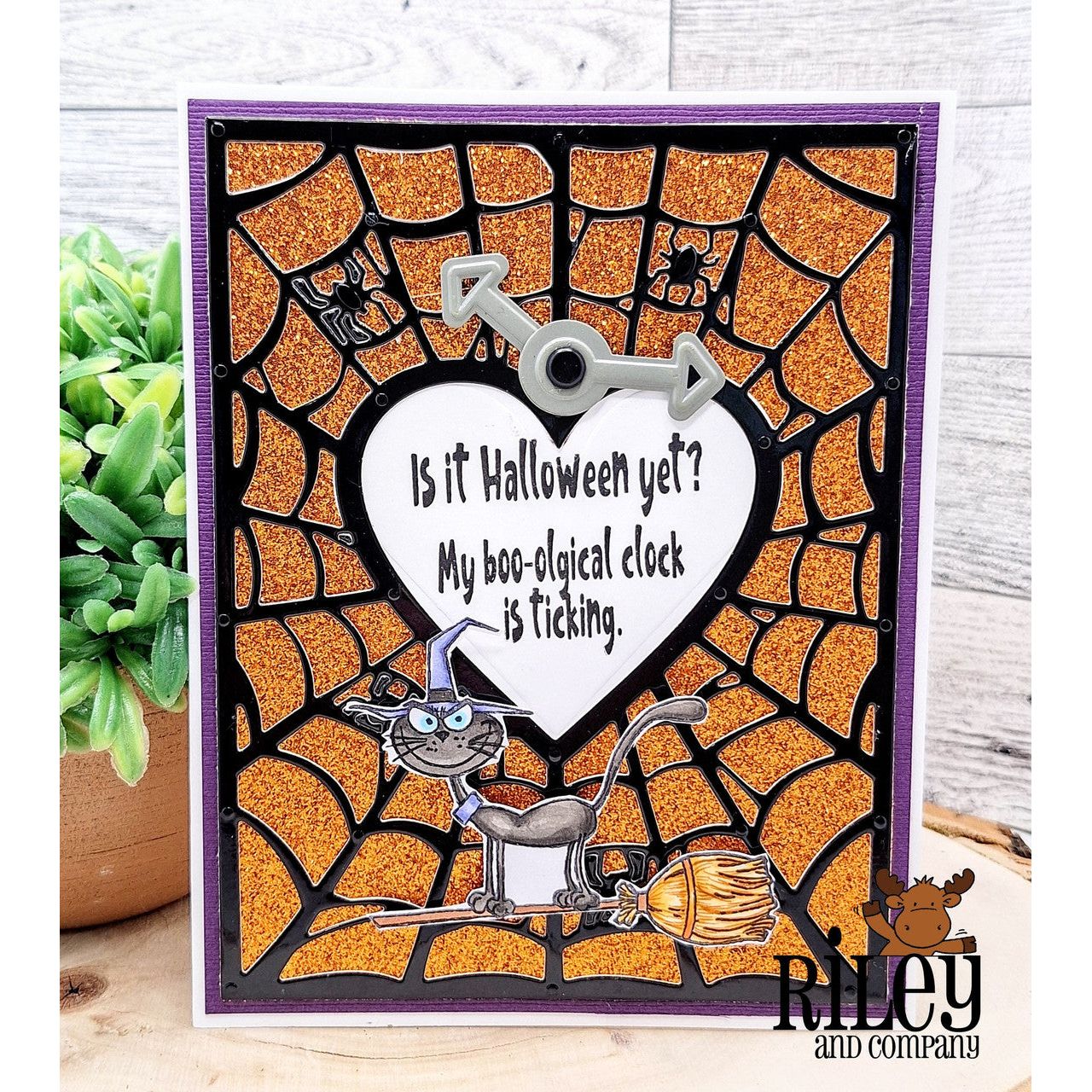 Riley And Company Cut Ups Background Spider Web Die rd629*