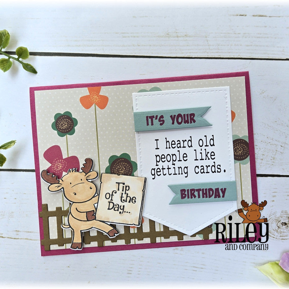 Riley And Company Cut Ups Fun Fences Dies rd662 birthday