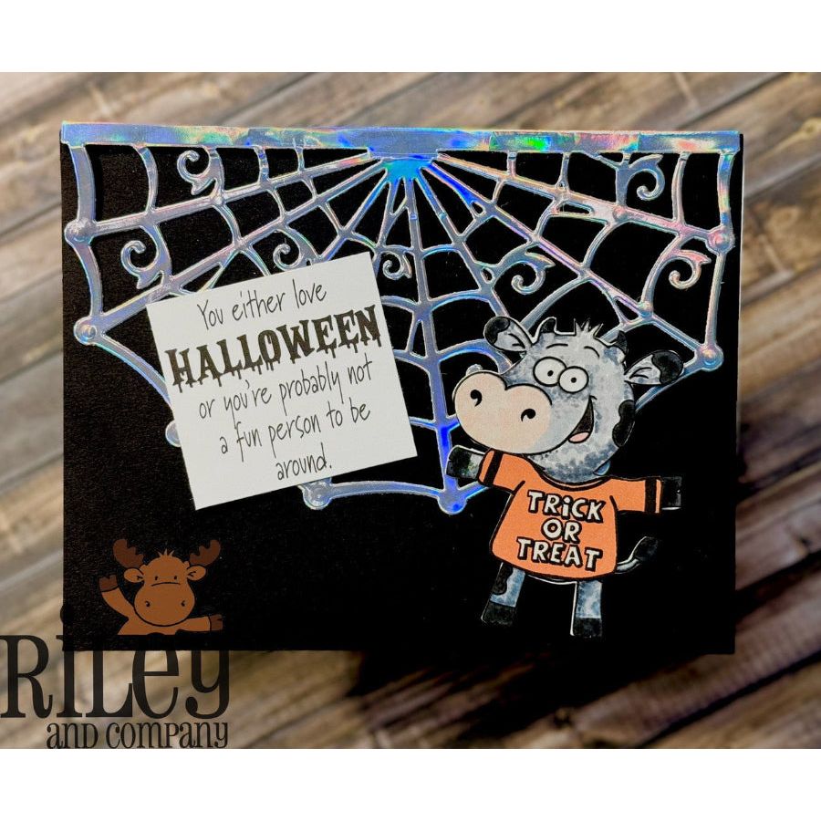 Riley And Company Cut Ups Overlay Spiderweb Die rd652 halloween