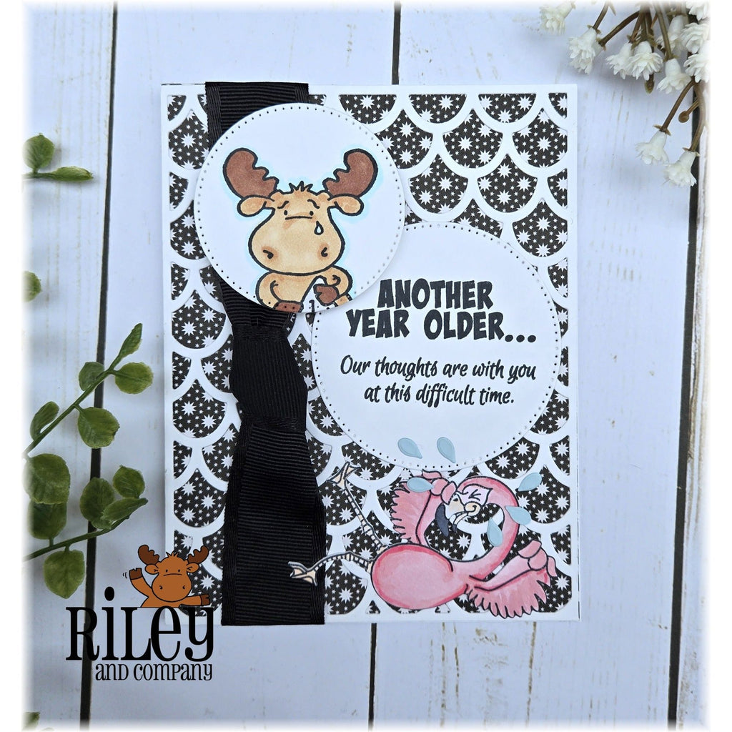 Riley And Company Funny Bones Another Year Older Clear Stamp rwd-1376 stars
