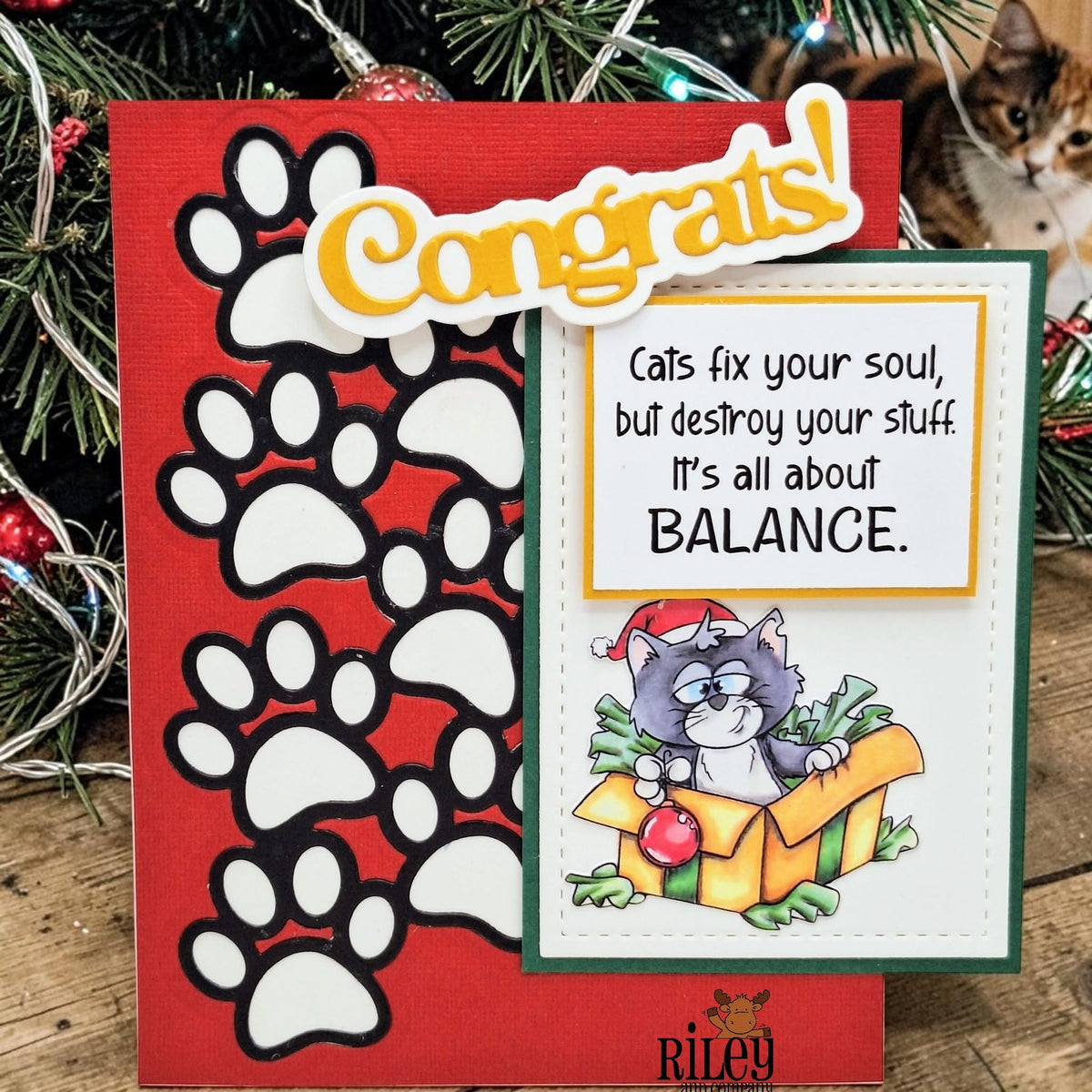 Riley And Company Funny Bones Balance Clear Stamp rwd-1477 congrats card