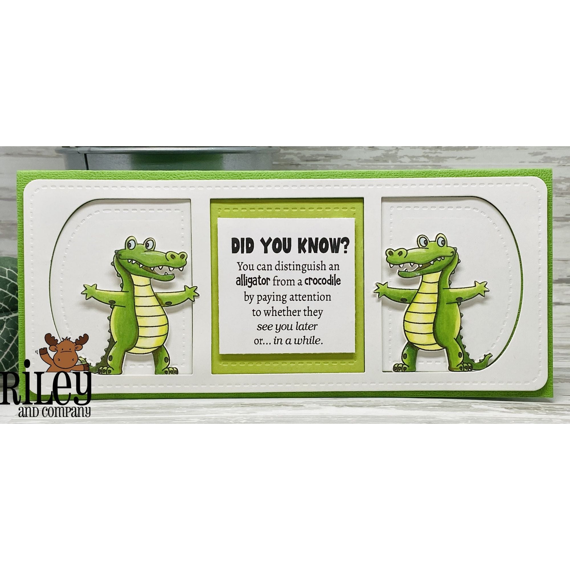 Riley And Company Funny Bones Did You Know Clear Stamp rwd-1339 green