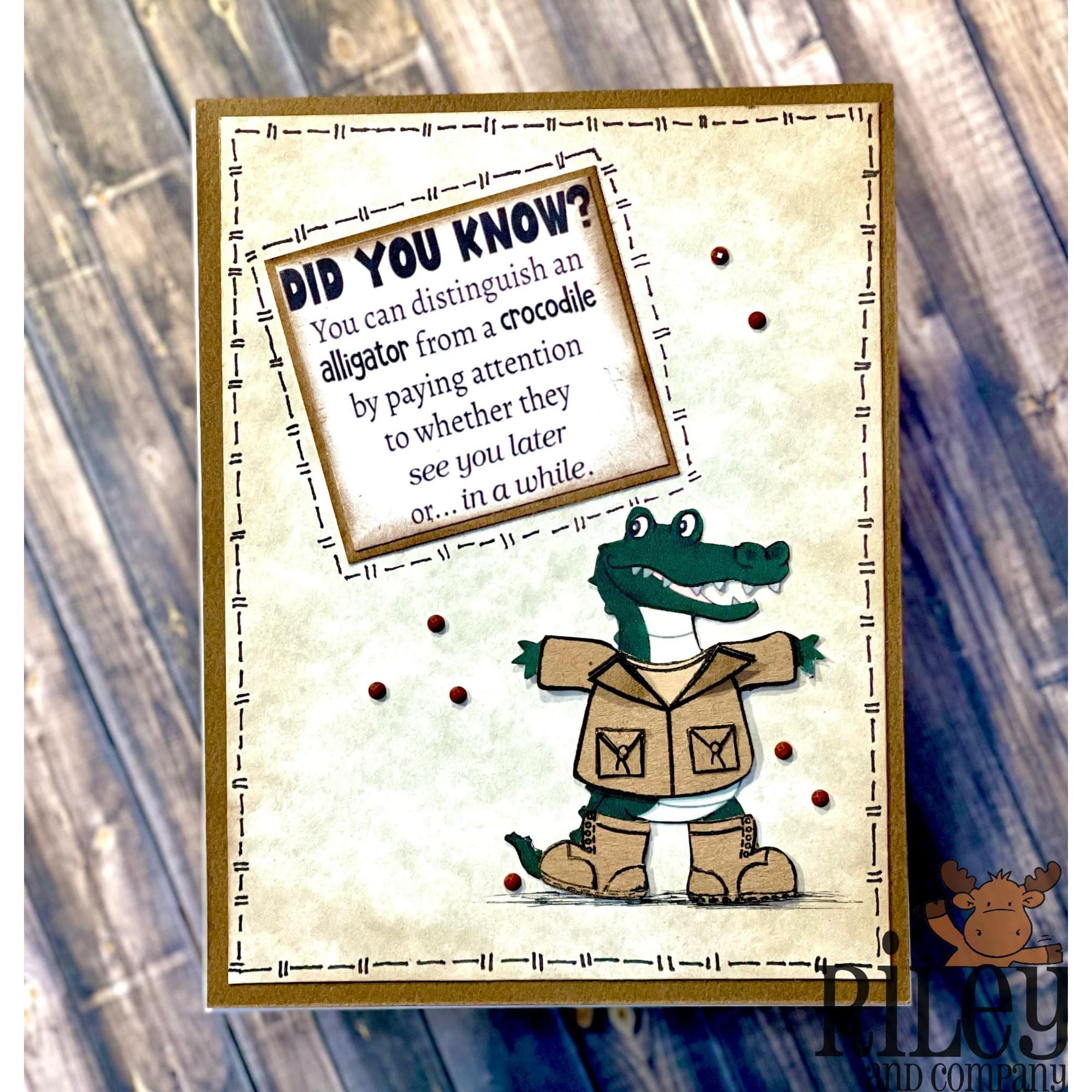 Riley And Company Funny Bones Did You Know Clear Stamp rwd-1339 khaki