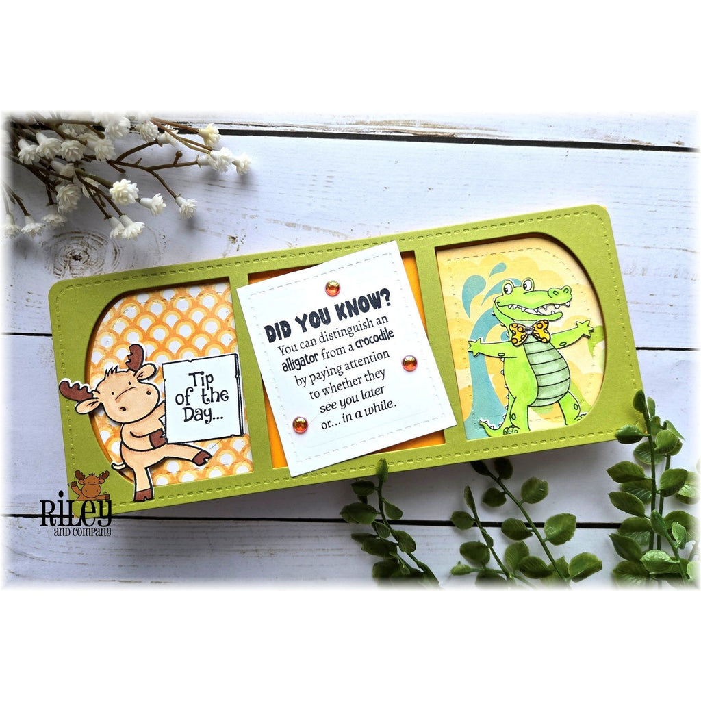 Riley And Company Funny Bones Did You Know Clear Stamp rwd-1339 patterns