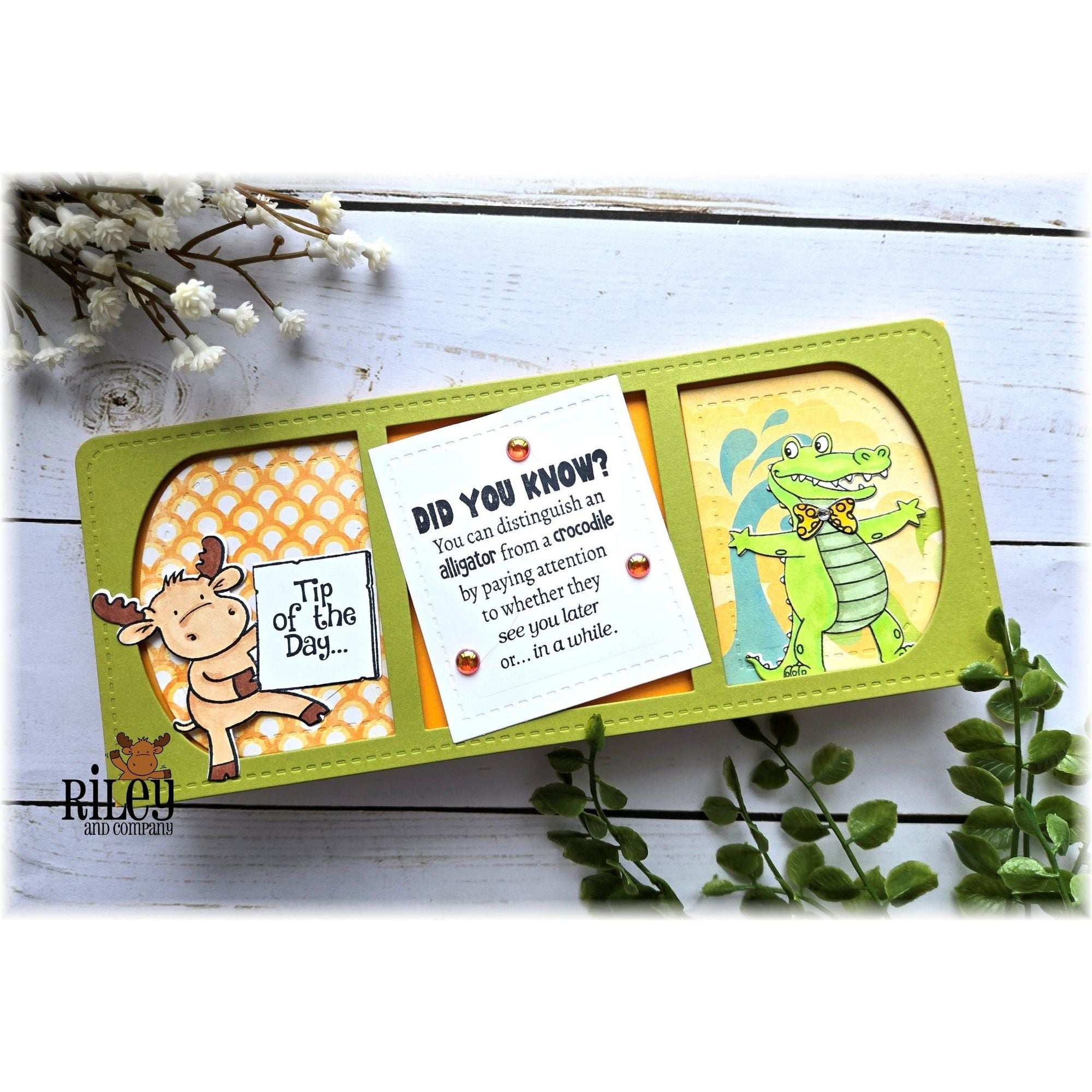 Riley And Company Funny Bones Did You Know Clear Stamp rwd-1339 patterns