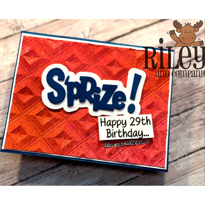 Riley And Company Funny Bones Happy 29th Birthday Clear Stamp rwd-1478 red background card