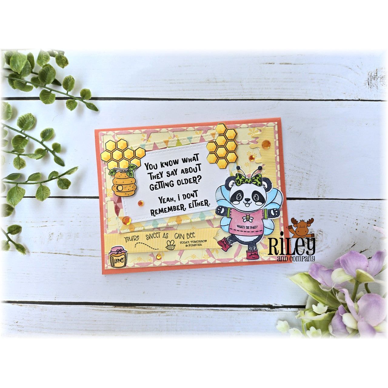 Riley And Company Funny Bones I Don't Remember Either Clear Stamp rwd-1383 fairy