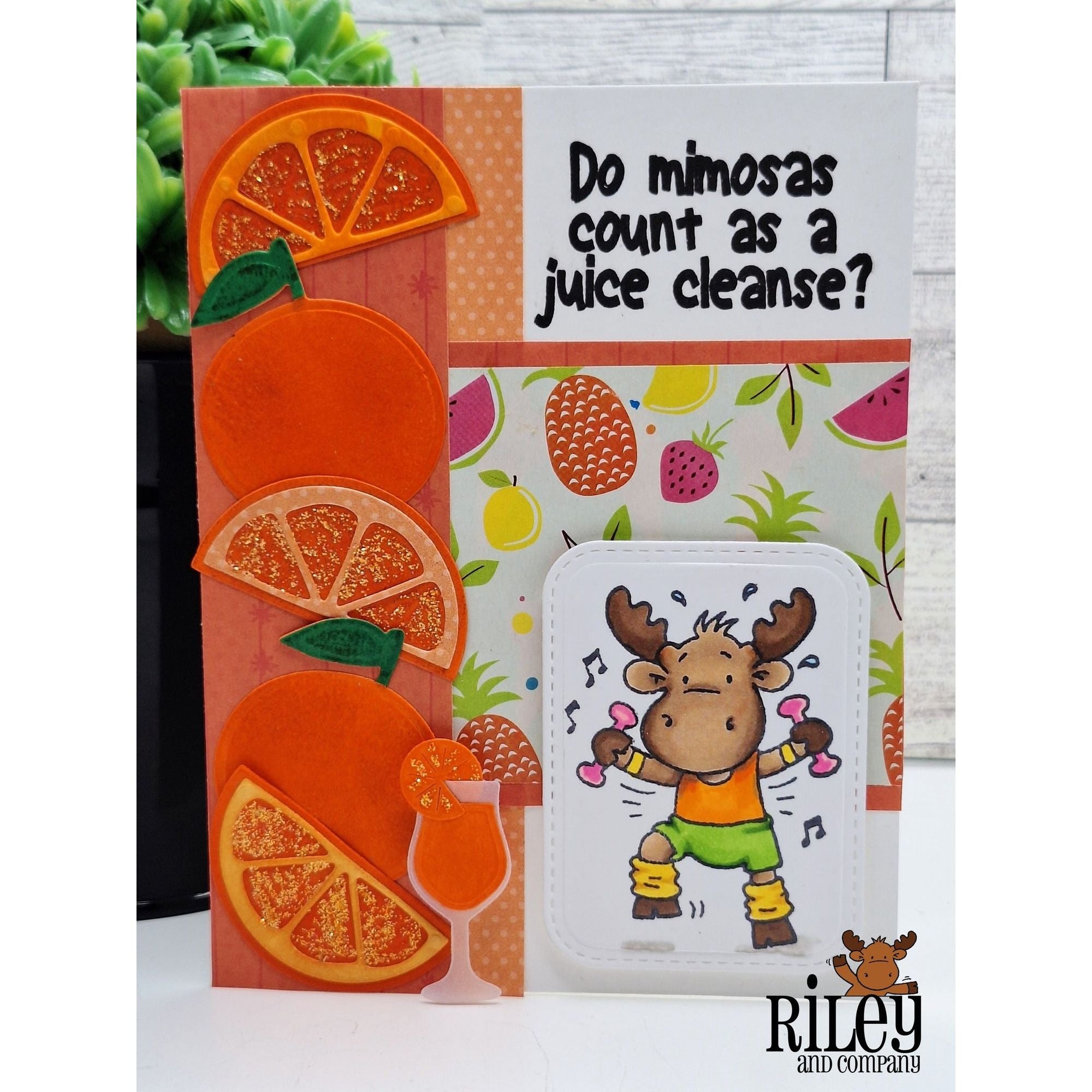 Riley And Company Funny Bones Juice Cleanse Clear Stamp rwd-1365 oranges