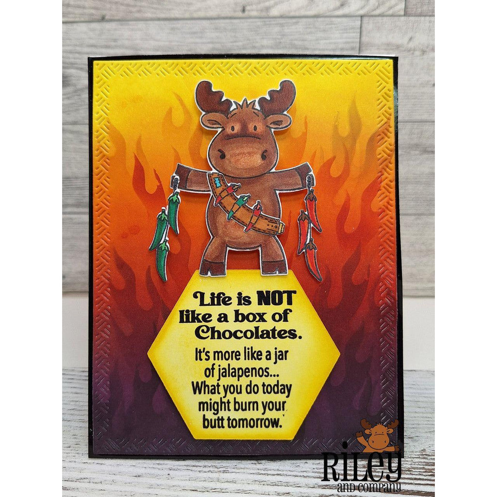 Riley And Company Funny Bones Life is Not a Box of Chocolates Clear Stamp rwd-1305