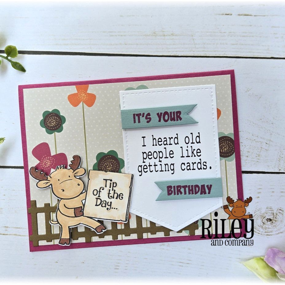 Riley And Company Funny Bones Old People like Getting Cards Clear Stamp rwd-1382 birthday