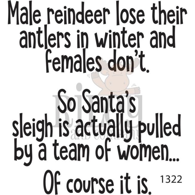 Riley And Company Funny Bones Santa's Sleigh Clear Stamp rwd-1322
