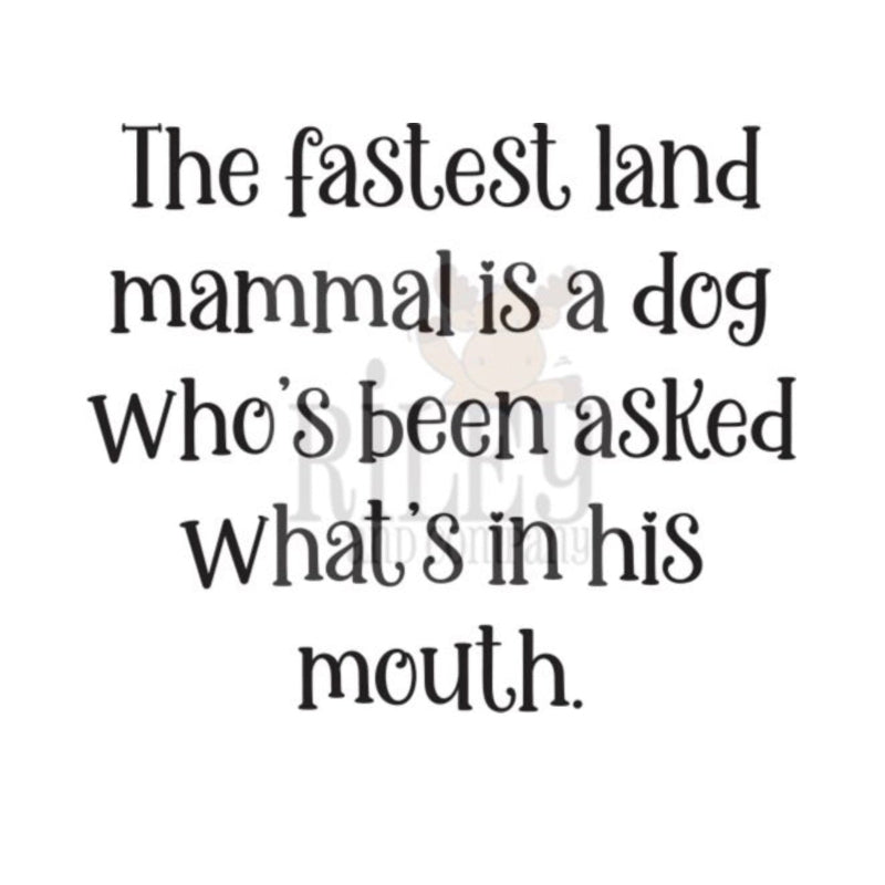 Riley And Company Funny Bones The Fastest Land Mammal Clear Stamp rwd-1474
