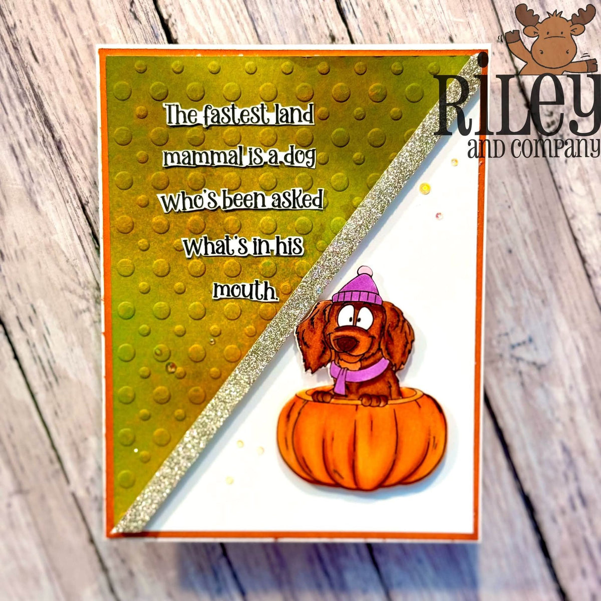 Riley And Company Funny Bones The Fastest Land Mammal Clear Stamp rwd-1474 dachshund in a pumpkin card
