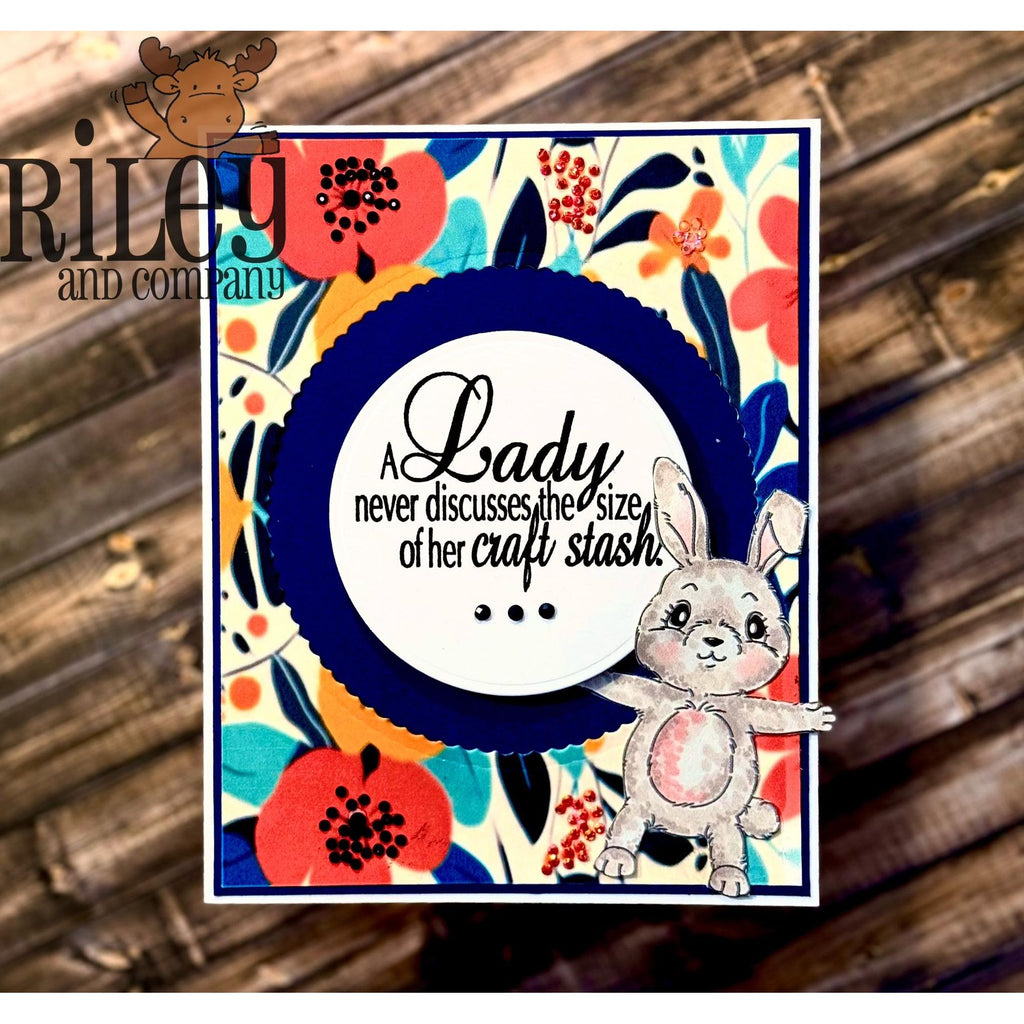 Riley And Company Funny Bones The Size Of My Craft Stash Clear Stamp rwd-1374 bunny