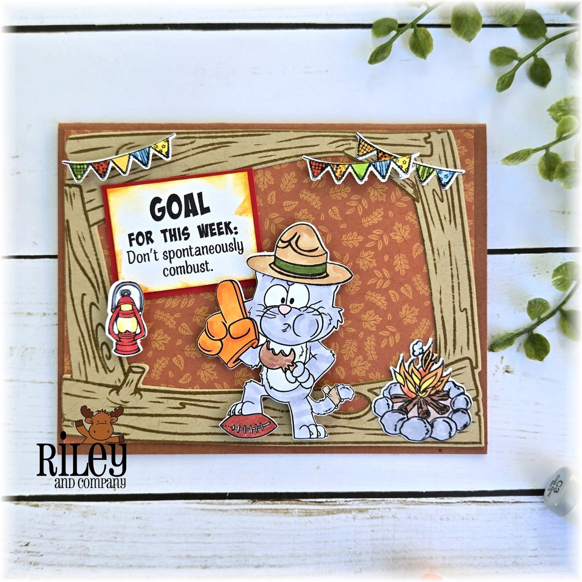 Riley And Company Funny Bones This Week's Goal Clear Stamp rwd-1482 cat in a hat card