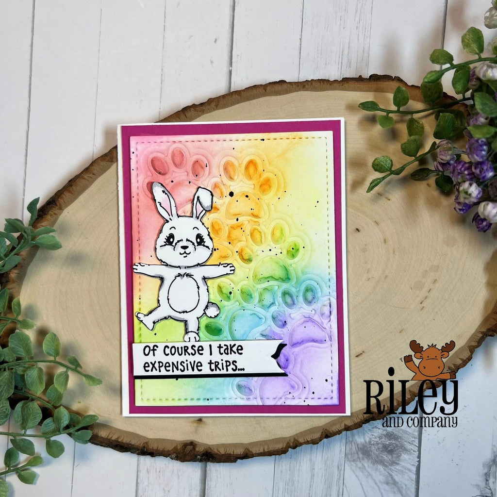 Riley And Company Funny Bones Trips To The Vet Clear Stamp rwd-1356 rainbow