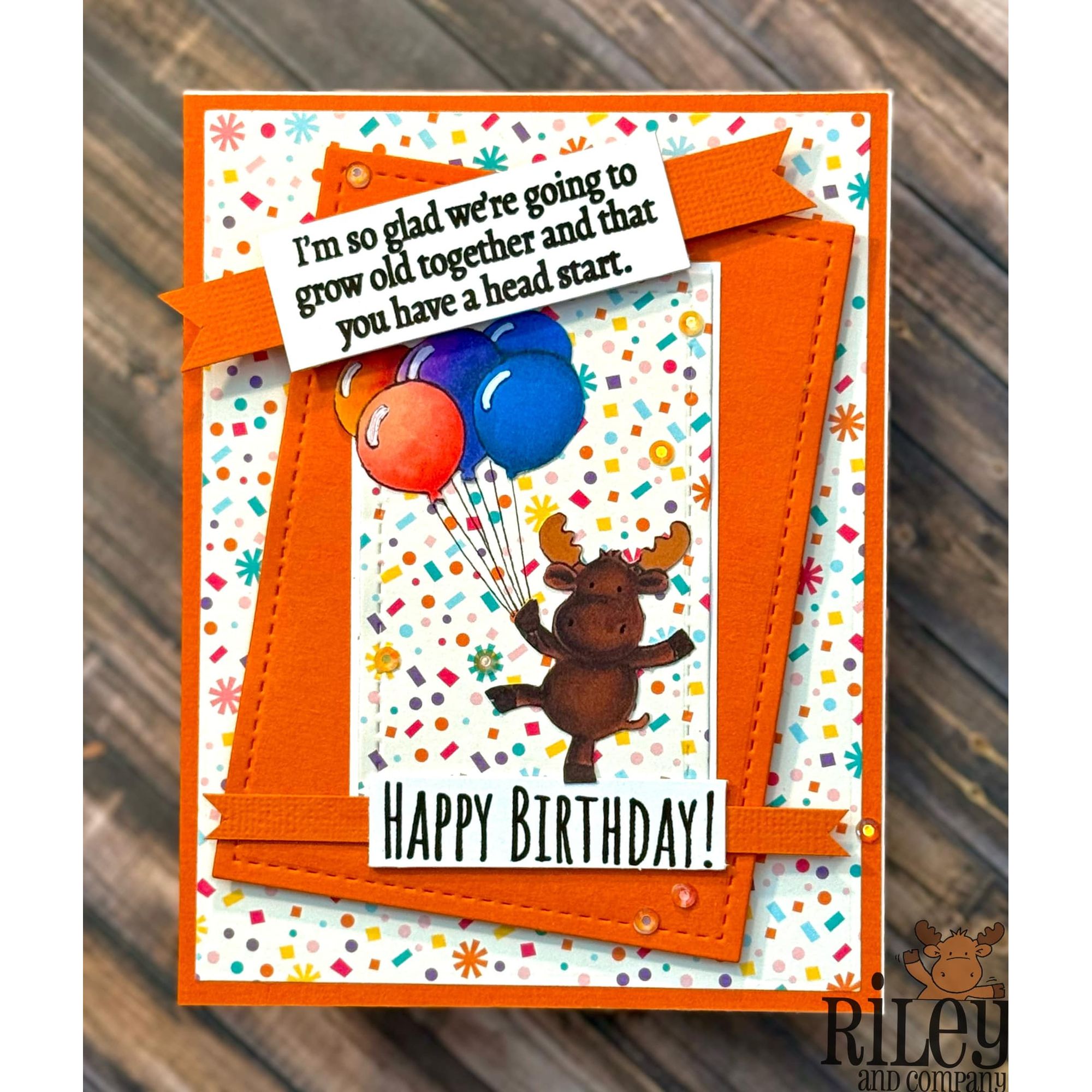 Riley And Company Funny Bones You Have A Head Start Clear Stamp rwd-1378 happy birthday