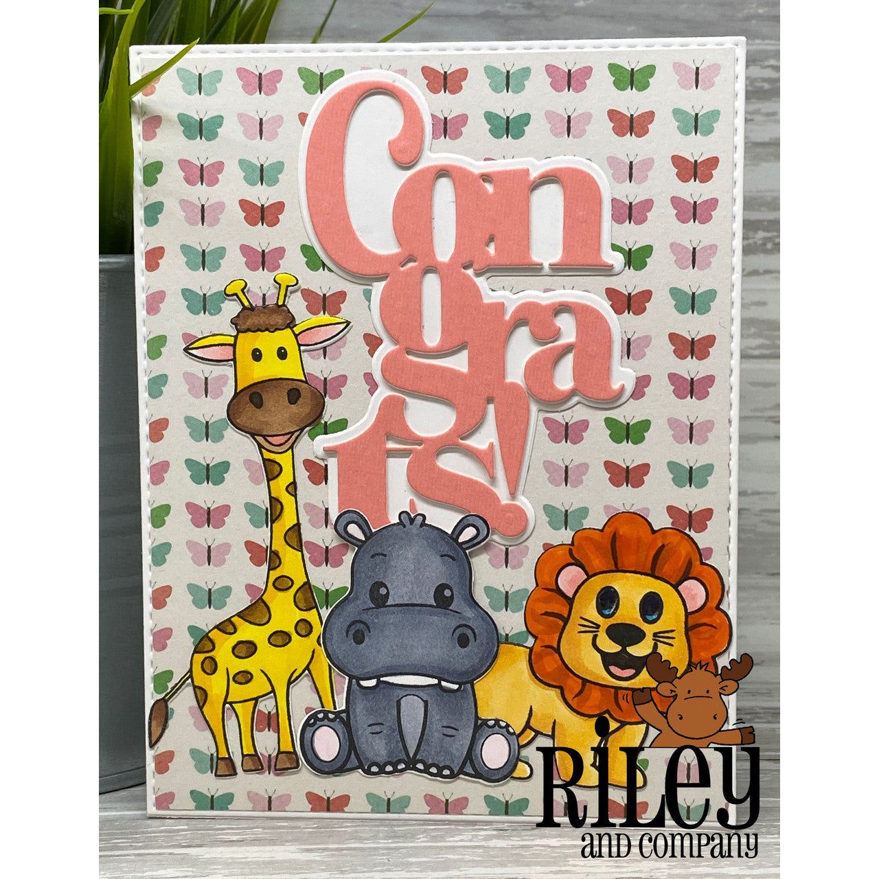 Riley And Company Safari Animals Clear Stamp and Die Set congrats