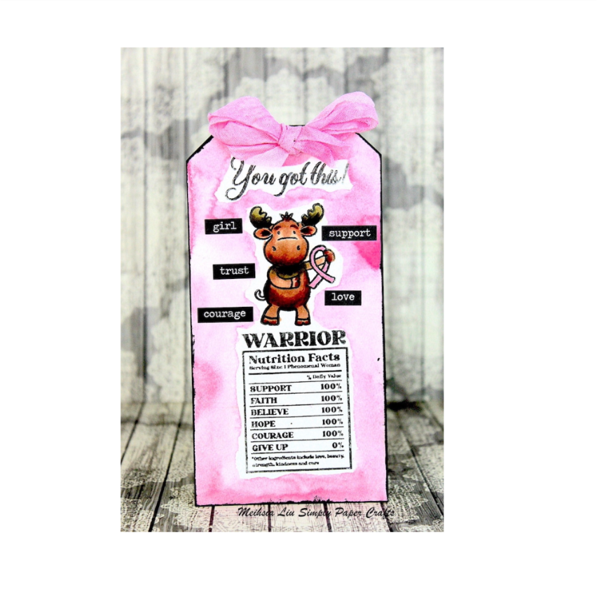 Riley and Company Crafters Against Cancer Clear Stamp and Die Set cac2023 pink | color-code:ALT01