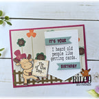 Riley and Company Fun Sayings 3 Big Word Helpers Clear Stamps rclr505 birthday