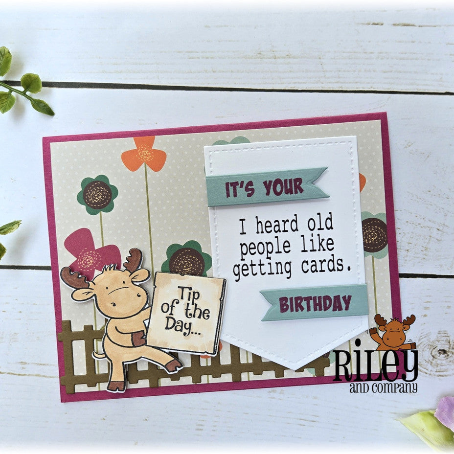 Riley and Company Fun Sayings 3 Big Word Helpers Clear Stamps rclr505 birthday