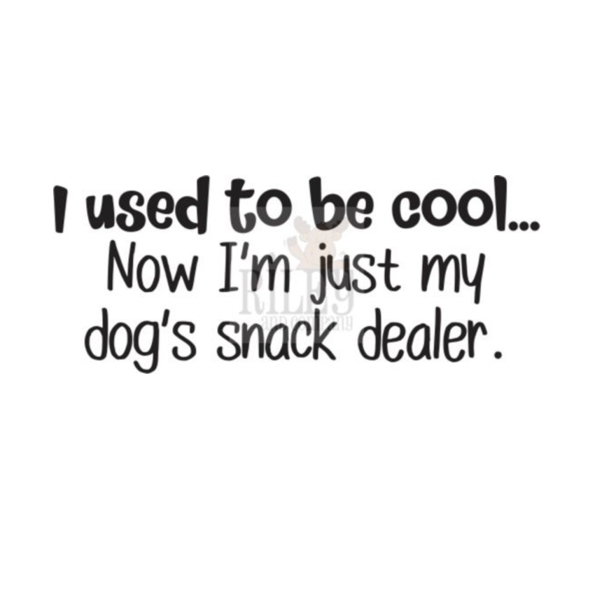 Riley and Company Funny Bones I Used To Be Cool Clear Stamp rwd-1448